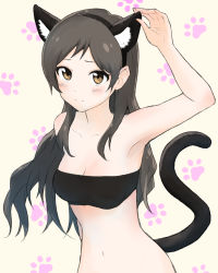 Rule 34 | 1girl, animal ears, arm up, armpits, breasts, brown eyes, brown hair, cat ears, cat tail, cleavage, commentary, fake animal ears, highres, idolmaster, idolmaster million live!, kitazawa shiho, long hair, medium breasts, navel, paw print, paw print background, shuucream (syuichi), solo, tail