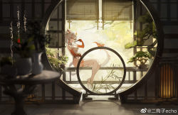 Rule 34 | 1girl, arknights, backlighting, bare legs, blurry, blurry foreground, bonsai, bracelet, breasts, china dress, chinese clothes, depth of field, dress, ergouzi echo, eyeliner, folded fan, folding fan, full body, hand fan, highres, horns, indoors, jewelry, looking at viewer, makeup, medium breasts, nian (arknights), nian (unfettered freedom) (arknights), no panties, official alternate costume, pointy ears, ponytail, purple eyes, sidelocks, sitting, solo, tail, tattoo, weibo watermark, white dress, white hair