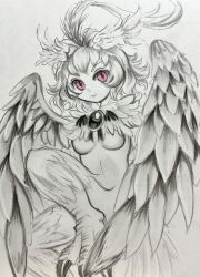 Rule 34 | 1girl, absurdres, bird legs, breasts, chsg4887, feather hair ornament, feathered wings, feathers, graphite (medium), hair ornament, harpy, highres, looking at viewer, monochrome, monster girl, original, pink eyes, short hair, small breasts, smile, solo, spot color, talons, traditional media, underboob, winged arms, wings