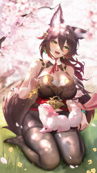 Rule 34 | 1girl, :d, animal, animal ears, animal on lap, bare arms, bell, branch, breasts, brown hair, brown shirt, cherry blossoms, cleavage, commentary request, company connection, fox, fox ears, fox girl, fox tail, full body, genshin impact, gradient hair, green bracelet, grey pantyhose, highres, holding, holding bell, honkai: star rail, honkai (series), large breasts, liu liaoliao, long hair, looking at viewer, mihoyo, multicolored hair, no shoes, on lap, open mouth, outdoors, pantyhose, red hair, red ribbon, ribbon, seiza, shirt, sitting, smile, solo, tail, tingyun (honkai: star rail), tongue, tongue out, yae miko, yae miko (fox)