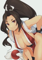Rule 34 | 1girl, armpits, bare legs, bare shoulders, breasts, brown eyes, brown hair, cleavage, collarbone, delux drawings, fatal fury, hand on knee, hand on own hip, hand on own knee, highres, large breasts, leaning forward, long hair, looking at viewer, ninja, no bra, no panties, pelvic curtain, ponytail, revealing clothes, ribbon, rope, sash, shiny skin, shiranui mai, smile, smirk, solo, the king of fighters, thighs, very long hair, wide hips