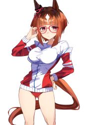 Rule 34 | 1girl, absurdres, adjusting eyewear, animal ears, breasts, brown hair, buruma, closed mouth, commentary request, cowboy shot, ear ornament, gluteal fold, highres, horse ears, horse girl, horse tail, jacket, jenshenya, long sleeves, medium breasts, multicolored hair, open clothes, open jacket, partially unzipped, red-framed eyewear, red buruma, red eyes, shirt, short hair, simple background, solo, streaked hair, tail, track jacket, transcend (umamusume), umamusume, white background, white hair, white shirt