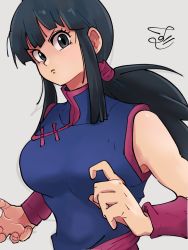 Rule 34 | 1girl, black eyes, black hair, breasts, chi-chi (dragon ball), chinese clothes, dragon ball, dragon ball (classic), fighting stance, highres, long hair, looking at viewer, low ponytail, ponytail, sash, sidelocks, signature, sleeveless, solo, upper body, zurui