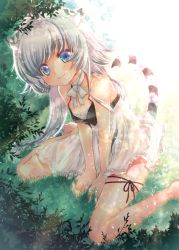 Rule 34 | 1girl, animal ears, bare shoulders, between legs, blue eyes, breasts, cat ears, cat tail, closed mouth, collarbone, day, dress, full body, grass, hand between legs, highres, long hair, on ground, original, outdoors, silver hair, sitting, small breasts, smile, solo, striped tail, sundress, sunlight, tail, tiger ears, tiger tail, tsurugi hikaru, very long hair, wariza, white dress