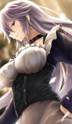Rule 34 | 1girl, blurry, blurry background, blush, borrowed character, breasts, choker, collarbone, corset, dress, expressionless, framed breasts, frills, hair between eyes, hand on own hip, large breasts, long hair, long sleeves, looking at viewer, original, petals, purple eyes, silver hair, solo, suien, tsurime, upper body