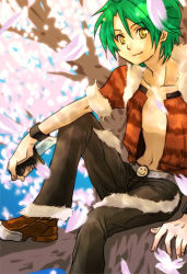 Rule 34 | 1boy, animal print, black pants, brown footwear, cherry blossoms, closed mouth, collarbone, commentary request, dagger, full body, fur-trimmed jacket, fur-trimmed pants, fur trim, green hair, holding, holding dagger, holding knife, holding weapon, jacket, knife, koshou (maayan), looking at viewer, male focus, navel, open clothes, open jacket, pants, print jacket, ragnarok online, red jacket, rogue (ragnarok online), shoes, short hair, short sleeves, sitting on branch, smile, smiley face, solo, tiger print, weapon, wristband, yellow eyes