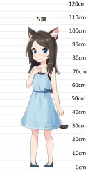Rule 34 | 1girl, absurdres, aina (mao lian), animal ear fluff, animal ears, bare shoulders, blue dress, blue eyes, blue footwear, blush, brown hair, cat ears, cat tail, character age, closed mouth, commentary, dot nose, dress, hand on own chest, height chart, highres, long hair, mao lian (nekokao), original, pigeon-toed, shoes, smile, solo, standing, tail, translated