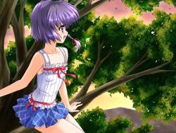 Rule 34 | 1girl, ahoge, arm support, artist request, bed, bell, blue skirt, blush, bow, braid, censored, character request, collarbone, dusk, female focus, flat chest, game cg, hair bell, hair ornament, hair ribbon, in tree, jingle bell, looking to the side, mountain, open mouth, pale skin, plaid, plaid skirt, purple hair, red bow, red eyes, red ribbon, ribbon, shirt, short hair, sitting, skirt, sky, smile, solo focus, tank top, thighs, tree, white shirt