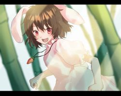 Rule 34 | 1girl, animal ears, bamboo, brown hair, carrot necklace, commentary request, cowboy shot, dress, floppy ears, frilled dress, frilled sleeves, frills, highres, inaba tewi, jewelry, letterboxed, looking at viewer, merukoodo, necklace, open mouth, pink dress, puffy short sleeves, puffy sleeves, rabbit ears, rabbit tail, red eyes, short hair, short sleeves, smile, solo, tail, touhou, wavy hair