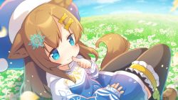 Rule 34 | absurdres, animal ears, black legwear, blue eyes, blush, breasts, brown hair, closed mouth, dog ears, dog girl, dog tail, finger to mouth, flower, grass, hair ornament, hat, highres, hood, hoodie, long sleeves, matatabi (nigatsu), outdoors, petals, shoes, sitting, sky, small breasts, smile, tail, thigh strap, thighhighs