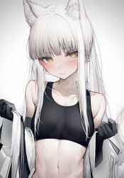 Rule 34 | 1girl, absurdres, animal ears, arknights, black gloves, blush, breasts, closed mouth, collarbone, commentary request, crop top, gloves, gradient background, grey background, highres, long hair, looking at viewer, navel, platinum (arknights), small breasts, solo, stomach, tab head, upper body, white hair, yellow eyes