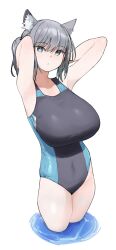 Rule 34 | 1girl, alternate breast size, animal ear fluff, animal ears, armpits, arms behind head, arms up, blue archive, breasts, closed mouth, commentary, competition swimsuit, cropped legs, english commentary, grey hair, highres, huge breasts, looking at viewer, mismatched pupils, official alternate costume, one-piece swimsuit, ponytail, presenting armpit, shiroko (blue archive), shiroko (swimsuit) (blue archive), simple background, snorkel14, solo, swimsuit, water, white background, wolf ears