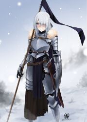 Rule 34 | 1girl, ak-15 (girls&#039; frontline), armor, blue cape, braid, cape, closed mouth, couter, cuirass, cuisses, darkpulsegg, feet out of frame, fur-trimmed cape, fur trim, gauntlets, girls&#039; frontline, greaves, grey hair, hair over one eye, highres, holding, holding shield, knight, long hair, looking at viewer, outdoors, poleyn, rerebrace, sheath, sheathed, shield, snow, solo, sword, vambraces, weapon