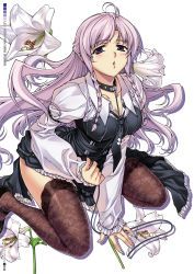 Rule 34 | 1girl, :o, ahoge, arm support, bdsm, black thighhighs, blush, bondage, bound, braid, breasts, chain, cleavage, collar, eun ami, flower, highres, lace, large breasts, leaning forward, leash, long hair, looking at viewer, open mouth, purple eyes, purple hair, scan, simple background, sitting, slave, solo, soo-hyon lee, thighhighs, twin braids, unbalance unbalance, unbalance x unbalance, wariza