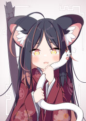 1girl ahoge anger_vein animal animal_ear_fluff animal_ears black_hair blush brown_hair cat_ears cat_girl cat_tail commentary_request daidai_ookami grey_background highres holding holding_animal japanese_clothes kimono long_hair long_sleeves multicolored_hair open_mouth original red_kimono simple_background sleeves_past_wrists snake solo tail tongue tongue_out two-tone_hair upper_body very_long_hair white_snake wide_sleeves yellow_eyes