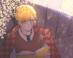 Rule 34 | 1boy, against wall, alphonse elric, bad id, bad twitter id, bespectacled, black neckwear, blanket, blonde hair, blurry, blurry background, blush, book, brown vest, close-up, closed mouth, collared shirt, commentary request, dappled sunlight, depth of field, dress shirt, evening, eyelashes, eyes visible through hair, fingernails, from above, fullmetal alchemist, glasses, grass, happy, holding, holding book, korean commentary, leaf, looking at viewer, looking up, male focus, nana (n anaa ), necktie, open book, plaid, plaid blanket, popped collar, shadow, shirt, smile, sunlight, tareme, tree, upper body, vest, wall, white shirt, wooden wall, yellow-framed eyewear, yellow eyes