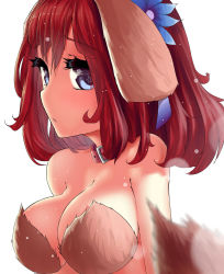 Rule 34 | 1girl, animal ears, blue eyes, breasts, cleavage, collar, davvworlds, dog ears, dog tail, fur bra, hair ornament, highres, large breasts, no game no life, red hair, solo, stephanie dora, tail