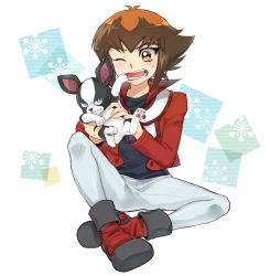 Rule 34 | 1boy, animal, black shirt, blue eyes, brown eyes, brown hair, crossover, dog, duel academy uniform (yu-gi-oh! gx), hair between eyes, holding, holding animal, holding dog, iggy (jojo), jacket, jojo no kimyou na bouken, long sleeves, male focus, mechakucha, multicolored hair, open clothes, open jacket, open mouth, pants, red jacket, shirt, solo, stardust crusaders, sweatdrop, two-tone hair, white background, white pants, yu-gi-oh!, yu-gi-oh! gx, yuki judai