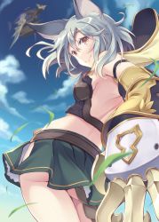 Rule 34 | 10s, 1girl, aircraft, animal ears, ass, back, blue sky, blurry, blush, breasts, cat ears, claw (weapon), closed mouth, cloud, cowboy shot, crop top, day, depth of field, detached sleeves, erune, eyebrows, from below, granblue fantasy, grass, green skirt, grey hair, hair between eyes, highres, hip vent, hood, hood down, itoichi., looking at viewer, midriff, miniskirt, motion blur, outdoors, pleated skirt, sen (granblue fantasy), side slit, sideboob, skirt, sky, small breasts, smile, solo, weapon, wind