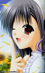 Rule 34 | 00s, 1girl, black hair, blush, female focus, flower, highres, maid, navel, one eye closed, outdoors, plant, portrait, red eyes, sage (tick! tack!), shuffle!, sky, solo, sunflower, suzuhira hiro, tick! tack!, wink