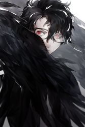 Rule 34 | 10s, 1boy, amamiya ren, black hair, feathers, glasses, highres, looking at viewer, male focus, persona, persona 5, red eyes, school uniform, short hair, simple background, solo
