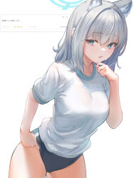 Rule 34 | 1girl, :o, animal ears, black one-piece swimsuit, blue archive, blue eyes, blush, breasts, cowboy shot, grey hair, hair between eyes, hand on own chin, highleg one-piece swimsuit, highres, large breasts, legs apart, long hair, looking at viewer, marulire, one-piece swimsuit, open mouth, shiroko (blue archive), shiroko (swimsuit) (blue archive), shirt, short sleeves, sidelocks, simple background, solo, sweat, swimsuit, swimsuit under clothes, white background, white shirt, wolf ears, wolf girl
