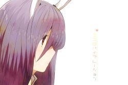 Rule 34 | 1girl, album cover, animal ears, cover, female focus, ichihaya, portrait, profile, purple hair, rabbit ears, red eyes, reisen udongein inaba, solo, touhou, white background