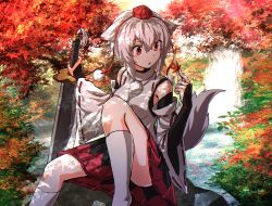 Rule 34 | 1girl, animal ears, autumn leaves, bare shoulders, black skirt, bridal gauntlets, dappled sunlight, day, detached sleeves, feet out of frame, greatsword, hair between eyes, hands up, hat, highres, holding, holding leaf, holding sword, holding weapon, inubashiri momiji, kakutasu (akihiron cactus), knee up, leaf, looking to the side, maple leaf, medium skirt, multicolored clothes, multicolored skirt, outdoors, parted lips, planted, planted sword, planted weapon, pom pom (clothes), red eyes, red skirt, ribbon-trimmed sleeves, ribbon trim, river, shade, shirt, short hair, sitting, skirt, sleeveless, sleeveless shirt, socks, solo, sunlight, sword, tail, tokin hat, touhou, tree, water, waterfall, weapon, white hair, white shirt, white socks, wolf ears, wolf tail