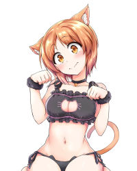 Rule 34 | 1girl, animal ears, bell, black bra, black choker, black panties, blush, bra, breasts, brown eyes, brown hair, cat cutout, cat ear panties, cat ears, cat lingerie, cat tail, choker, cleavage cutout, closed mouth, clothing cutout, commentary request, fang, frilled bra, frills, girls und panzer, head tilt, highres, jingle bell, kemonomimi mode, lingerie, looking at viewer, medium breasts, meme attire, nagomiya (shousha), navel, neck bell, nishizumi miho, panties, partial commentary, paw pose, short hair, side-tie panties, simple background, sitting, skin fang, smile, solo, tail, underwear, underwear only, wariza, white background, wristband