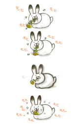 Rule 34 | rabbit, eating, flower, no humans, noja