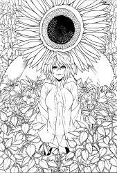 Rule 34 | 1girl, absurdres, bad id, bad pixiv id, breasts, cleavage, dress shirt, female focus, flower, greyscale, highres, iro marimo, kazami yuuka, large breasts, monochrome, no bra, no pants, open clothes, open shirt, panties, shirt, solo, squatting, sunflower, touhou, underwear