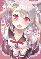 Rule 34 | ^^^, afterimage, animal ear fluff, animal ears, azur lane, blush, braid, braided ponytail, breasts, cleavage, collarbone, covered erect nipples, crop top, dog ears, dog tail, drooling, grabbing another&#039;s ear, fang, foreshortening, gloves, hand on another&#039;s ear, heart, krono tokage, long hair, medium breasts, midriff, miniskirt, navel, open mouth, pleated skirt, pov, red eyes, school uniform, serafuku, side braid, silver hair, skirt, slit pupils, solo focus, tail, tail wagging, v arms, yuudachi (azur lane)