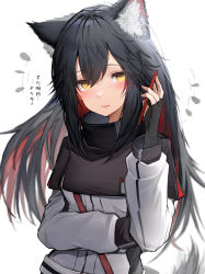 Rule 34 | 1girl, absurdres, animal ears, arknights, bad id, bad pixiv id, black hair, blush, cellphone, hair between eyes, highres, holding, holding phone, light smile, long sleeves, looking at viewer, multicolored hair, phone, red hair, simple background, solo, tab head, texas (arknights), translation request, two-tone hair, white background, wolf ears, wolf girl, yellow eyes