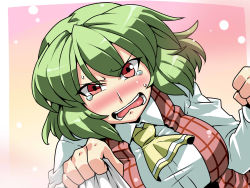 Rule 34 | 1girl, ascot, blush, breasts, clenched hand, embarrassed, female focus, green hair, highres, kazami yuuka, large breasts, open mouth, pov, red eyes, shirt grab, solo, tears, touhou, tsundere, tukiwani
