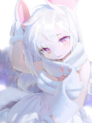 Rule 34 | 1girl, animal ears, bare shoulders, breasts, charles (106858), cleavage, commentary, copyright request, dress, english commentary, gloves, hair between eyes, highres, looking at viewer, medium breasts, mouse ears, mouse girl, multicolored eyes, parted lips, purple eyes, scarf, simple background, sitting, smile, solo, tagme, white background, white dress, white hair, white theme