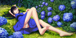 Rule 34 | 10s, 1girl, ass, bad id, bad pixiv id, barefoot, black hair, blue skirt, breasts, dress, feet, flower, foreshortening, hair flower, hair ornament, hydrangea, long hair, lying, nature, on back, open mouth, panties, red eyes, sanka rea, sankarea, skirt, small breasts, smile, solo, underwear, white panties, yilan, zombie