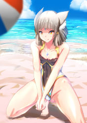 Rule 34 | absurdres, adapted costume, animal ears, ball, beach, blunt bangs, cat ears, cloud, crystal, facial mark, flat chest, gem, hair ornament, highres, licking lips, nia (blade) (xenoblade), nia (xenoblade), nintendo, ocean, own hands together, sand, shindayomon, short hair, silver hair, sky, smile, spoilers, squatting, swimsuit, tongue, tongue out, volleyball, volleyball (object), xenoblade chronicles (series), xenoblade chronicles 2, yellow eyes