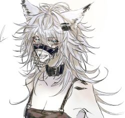 Rule 34 | animal ears, arknights, armpits, blue eyes, breasts, cleavage, collar, collarbone, fang, grey hair, hair between eyes, hair ornament, hairclip, highres, lappland (arknights), m10 (lycos zzz), material growth, messy hair, muzzle, oripathy lesion (arknights), scar, scar across eye, scar on face, teeth, white background, wolf ears, wolf girl
