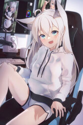 Rule 34 | 1girl, ahoge, alternate costume, animal ear fluff, animal ears, bare legs, blurry, blurry background, blush, braid, chair, commentary request, cup, desk, earrings, enmaided, extra ears, fox ears, fox girl, gaming chair, green eyes, grey shorts, hair between eyes, highres, hololive, hood, hoodie, indoors, jewelry, keyboard (computer), knee up, long hair, long sleeves, looking at viewer, maid, microphone, monitor, open mouth, shirai yu, shirakami fubuki, short shorts, shorts, sidelocks, single braid, sitting, solo, swivel chair, virtual youtuber, white hair, white hoodie