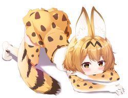 Rule 34 | 1girl, :3, absurdres, animal ears, ass, bitseon, blonde hair, blush, elbow gloves, gloves, highres, kemono friends, serval (kemono friends), serval tail, short hair, skirt, solo, tail, thighhighs, thighs, top-down bottom-up, white background, yellow eyes, zettai ryouiki