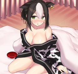Rule 34 | 1girl, :o, animal ears, animal print, bad id, bad pixiv id, bare shoulders, black hair, blush, breasts, cccpo, collarbone, commentary request, cow ears, cow print, cup, ear tag, futon, green eyes, hair between eyes, holstein (cccpo), japanese clothes, kimono, large breasts, long sleeves, multicolored hair, nose blush, off shoulder, on bed, original, parted lips, print kimono, sakazuki, seiza, sidelocks, sitting, sleeves past wrists, solo, two-tone hair, white hair