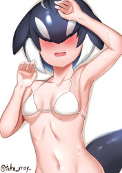 Rule 34 | 1girl, arm up, armpits, bikini, black hair, blue hair, blush, breasts, cetacean tail, collarbone, covered eyes, dolphin girl, dorsal fin, facing viewer, fins, fish tail, hair over eyes, hand up, head fins, highres, kashisu mint, kemono friends, long bangs, medium breasts, medium hair, multicolored hair, navel, open mouth, orca (kemono friends), simple background, smile, solo, stomach, swimsuit, tail, twitter username, upper body, wet, white background, white bikini, white hair