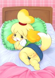 Rule 34 | animal crossing, artist request, blush, breasts, cleft of venus, fat mons, furry, isabelle (animal crossing), nintendo, pussy, tagme
