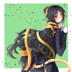 Rule 34 | 1girl, absurdly long hair, absurdres, ainu clothes, aquaplus, bare shoulders, black hair, blush, cat tail, closed mouth, crying, crying with eyes open, dress, eyelashes, from side, hair between eyes, hair down, high ponytail, highres, kuon (utawarerumono), lips, long hair, long sleeves, looking at viewer, low-tied long hair, mn u tm, off shoulder, ponytail, sidelocks, solo, tail, tears, utawarerumono, utawarerumono: itsuwari no kamen, variations, very long hair, wide sleeves, yellow eyes
