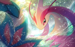 Rule 34 | artist name, cocoloco, commentary request, creatures (company), dated, day, game freak, gen 3 pokemon, lens flare, milotic, nintendo, no humans, outdoors, partially submerged, pokemon, pokemon (creature), red eyes, solo, twitter username, water