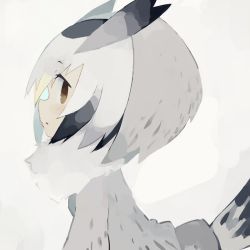 Rule 34 | 10s, 1girl, :o, bird tail, blush, brown eyes, coat, feathers, from side, fur collar, head wings, kemono friends, northern white-faced owl (kemono friends), open mouth, paprika shikiso, simple background, solo, tail, upper body, white background, wings