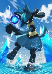 Rule 34 | absurdres, cloud, commentary request, creatures (company), day, energy ball, full body, game freak, gen 4 pokemon, highres, kaichi (tomiyu25), looking at viewer, lucario, nintendo, outdoors, pokemon, pokemon (creature), red eyes, ripples, signature, sky, solo, splashing, water, yellow fur