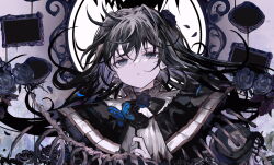 Rule 34 | 1girl, animal, arcaea, black capelet, black flower, black hair, black rose, blue flower, blue rose, bug, butterfly, capelet, character request, commentary, english commentary, floating hair, flower, grey eyes, hair between eyes, hair flower, hair ornament, hand up, highres, insect, long hair, looking at viewer, parted lips, picture frame, rose, shirt, skeleton, solo, tsubaki (yi), upper body, white shirt
