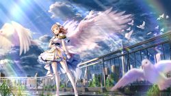 Rule 34 | 1girl, absurdres, angel, angel wings, bird, blue sky, blurry, boots, brown eyes, brown hair, building, cityscape, clothing request, cloud, depth of field, dove, dress, feathered wings, female focus, fence, gloves, grass, hand on own chest, highres, idolmaster, idolmaster shiny colors, light rays, macha0331, medium hair, open mouth, outdoors, rainbow, sakuragi mano, short hair, skirt, sky, skyscraper, solo, standing, sunbeam, sunlight, tears, thighhighs, white dress, white footwear, white gloves, white thighhighs, wide shot, wings