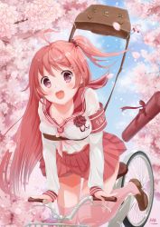 Rule 34 | 1girl, ahoge, bad id, bad pixiv id, bicycle, bicycle basket, breasts, cherry blossoms, cleavage, graduation, hair ornament, hairclip, highres, hoshimaemi, large breasts, long hair, long sleeves, looking at viewer, original, pink eyes, pink hair, pink thighhighs, red skirt, riding bike, school uniform, serafuku, signature, skirt, solo, sweat, thighhighs